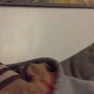 Meet your Posher, Teddy